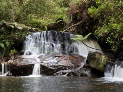 Visit the Mantadia National Parks3